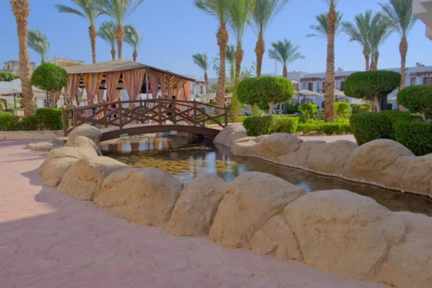 CORAL HILLS RESORT SHARM EL SHEIKH  4*-59