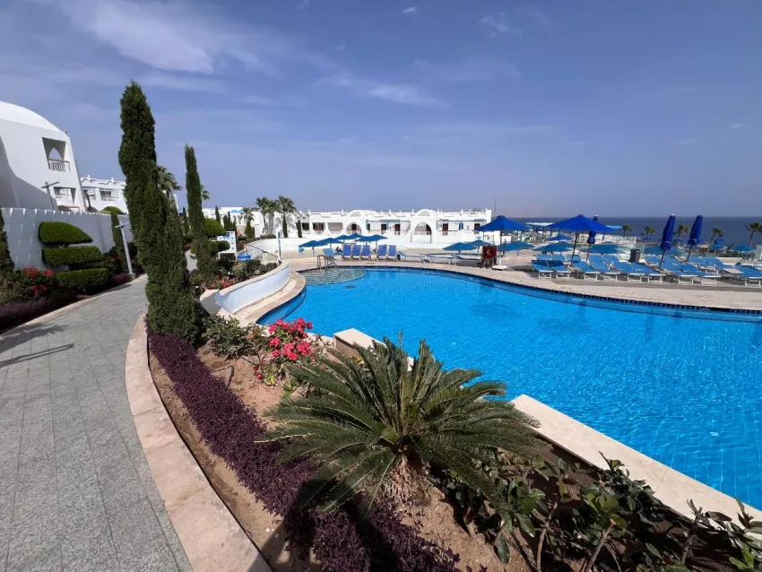 ALBATROS PALACE SHARM  5*-173