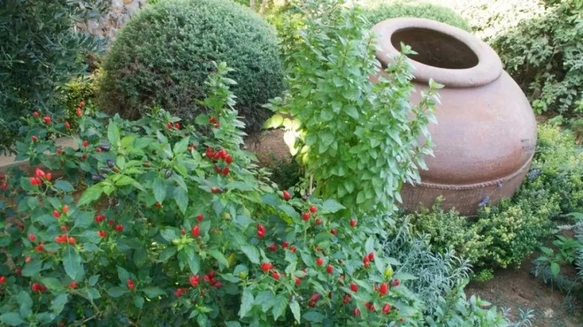 Hylatio Tourist Village 3*-6