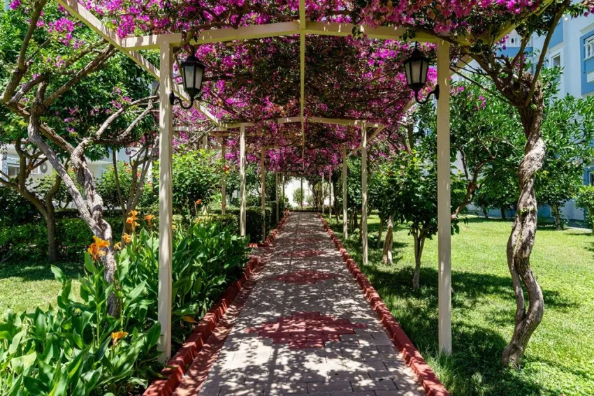 THE GARDEN BEACH HOTEL  5*-17