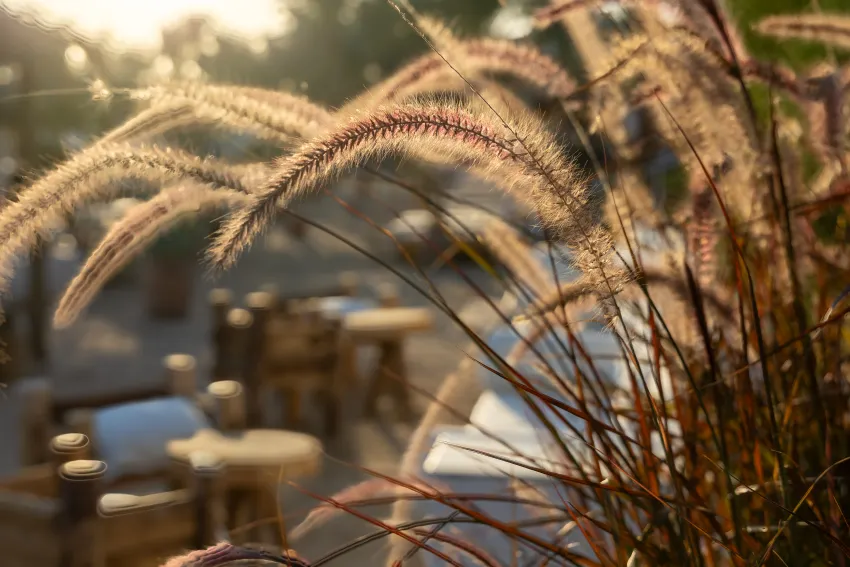 Fort Arabesque The Villas 4*-196