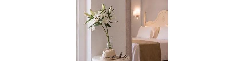 Alexander Beach Hotel And Village Resort 5*-112