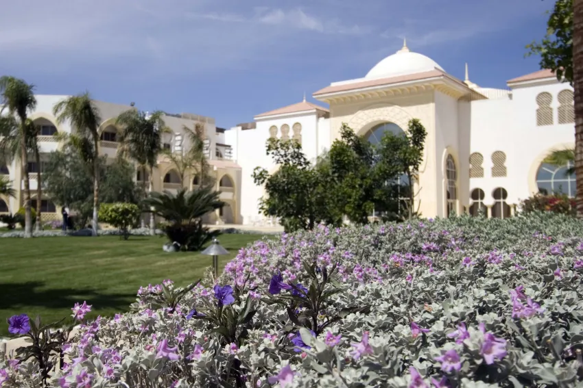 Old Palace Resort Sahl Hasheesh 5*-6
