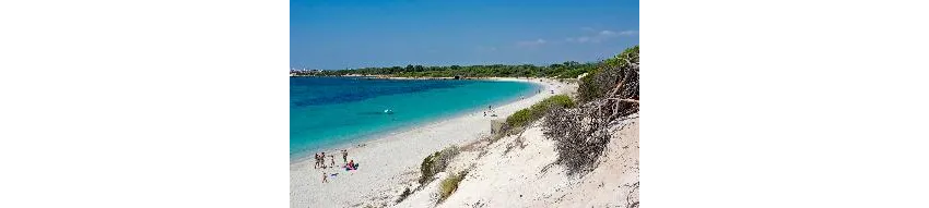 Isla de Cabrera Aparthotel 4*-62