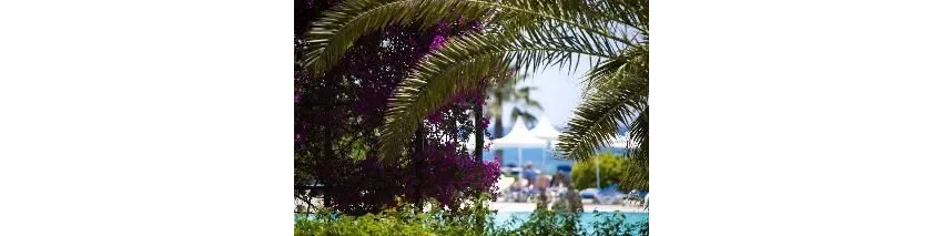 Turquoise Hotel 5*-7
