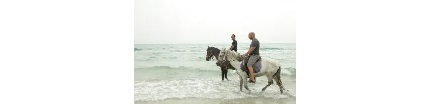 Thapsus Beach Resort 4*-7