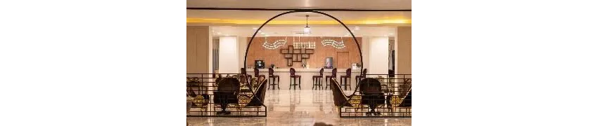 Siam Elegance Hotels & Spa 5*-4