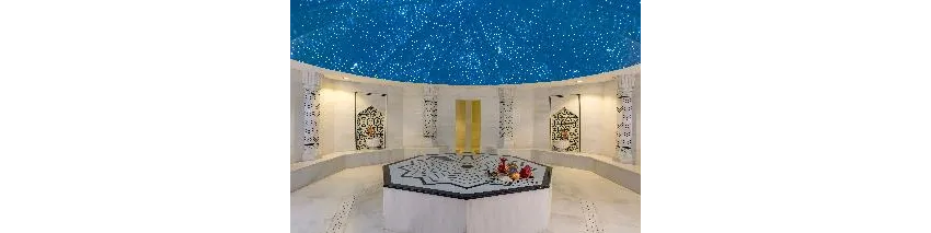 Royal Taj Mahal 5*-85