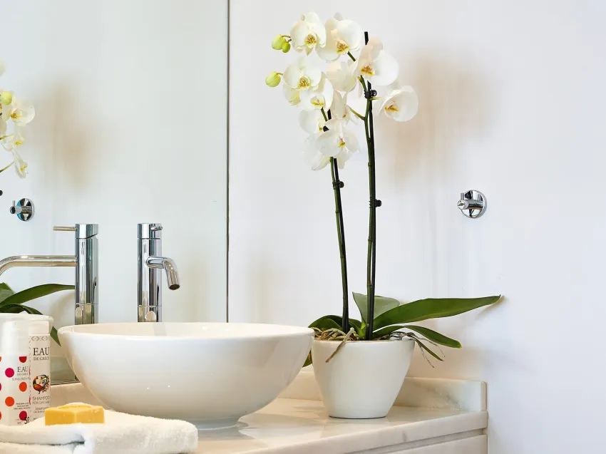 Grecotel Meli Palace 4*-20