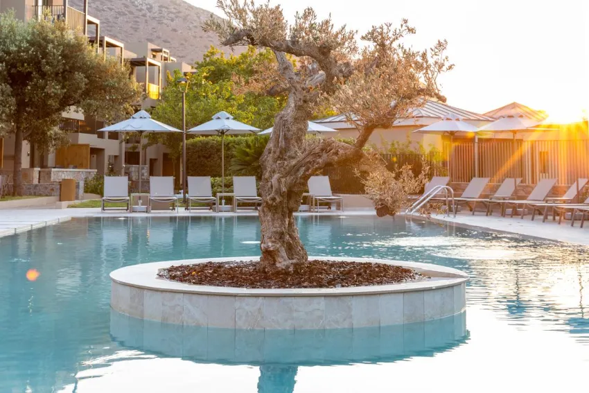 Elios Hill Sun-Kissed Happiness 5*-20