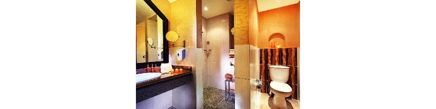 Pickalbatros Jungle Aqua Park Resort 4*-5