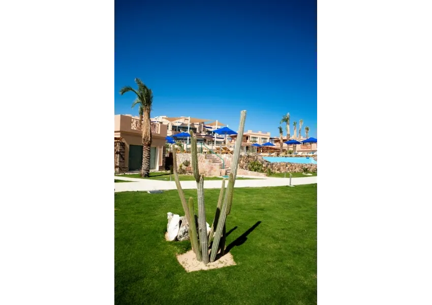 Shams Prestige Abu Soma 5*-17
