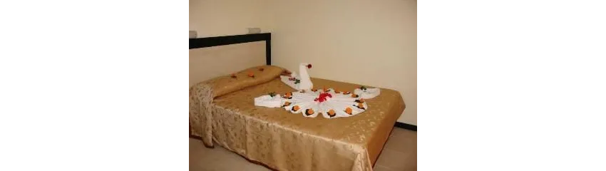 Silver Hotel 3*-13