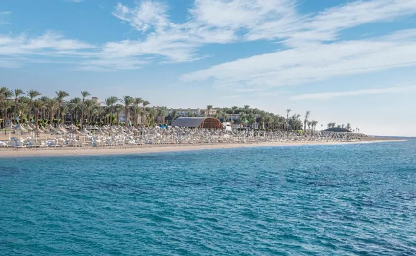 FLOW SPECTRUM SAHL HASHEESH  4*-5