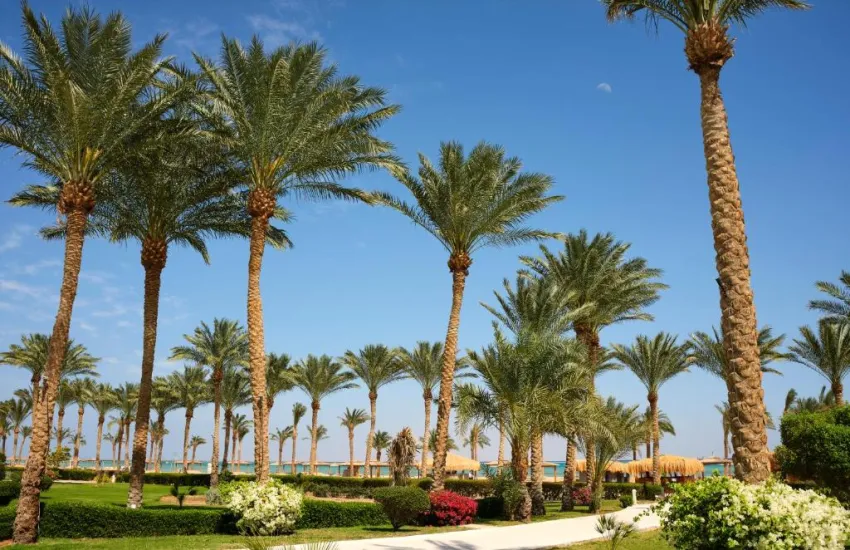 CORAL SEA WATER WORLD  4*-117