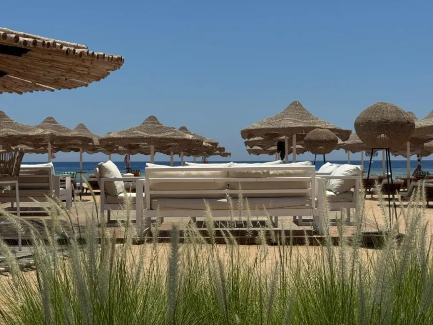 BARON PALMS (ADULTS ONLY 16+)  5*-31