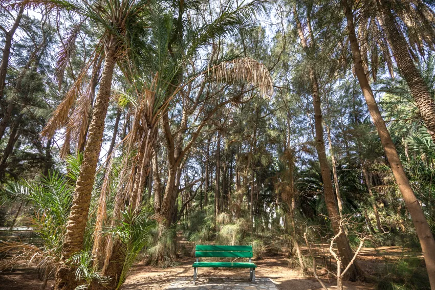Marhaba Salem 4*-5