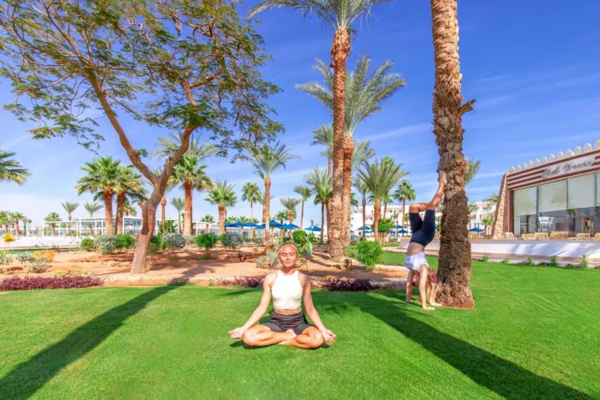 ALBATROS SHARM RESORT  4*-89