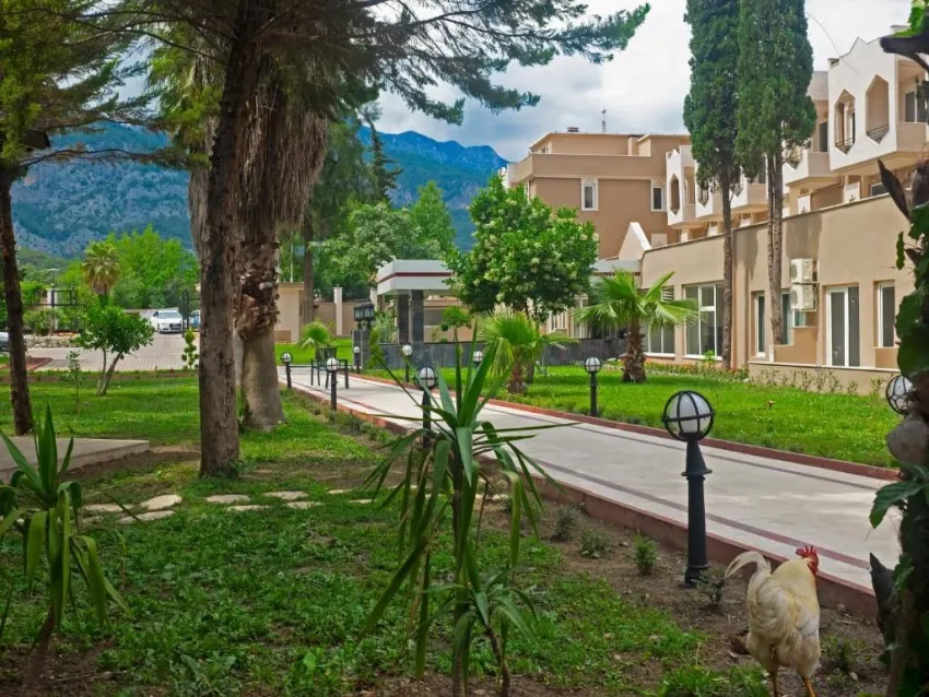 Alexius Beach Hotel 4*-3