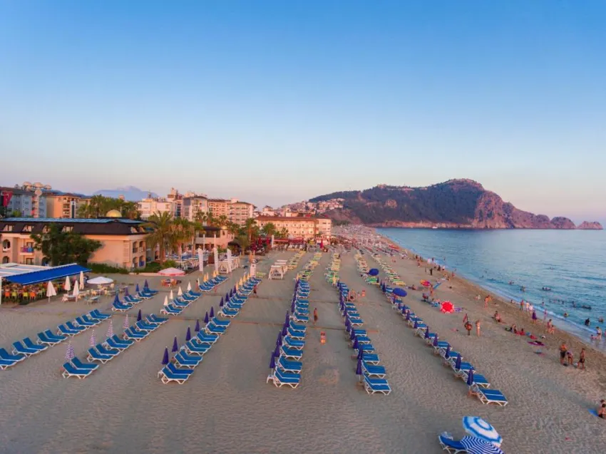 Lonicera City Kleopatra 3*-4