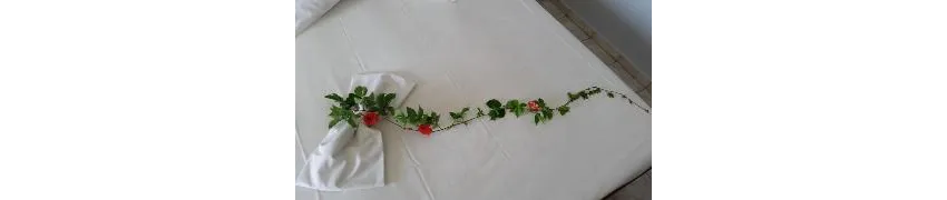 Astir Palace 4*-8