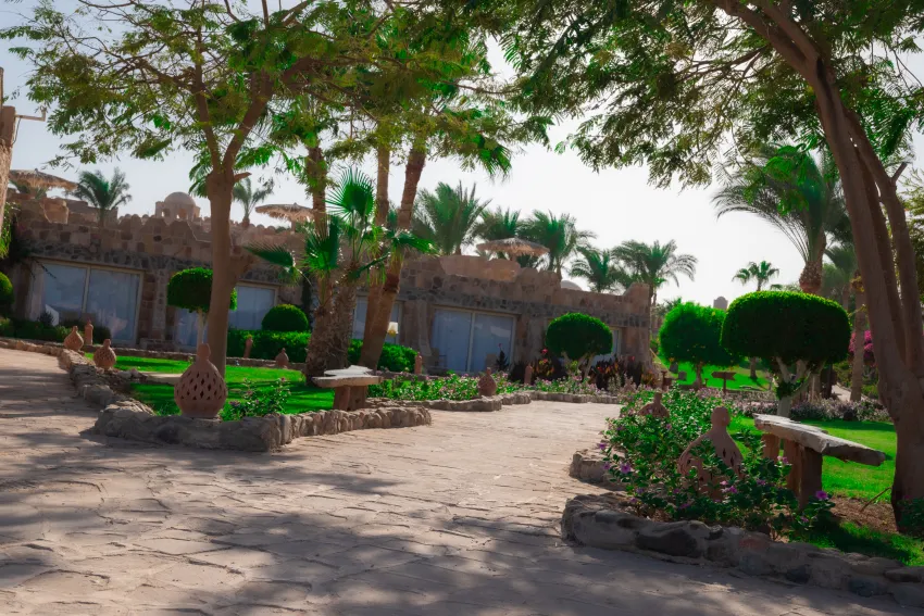 Utopia Beach Club 4*-54