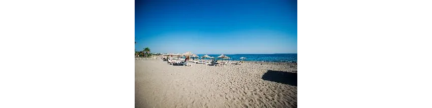 Flora Garden Beach (Adults Only 16+) 5*-108
