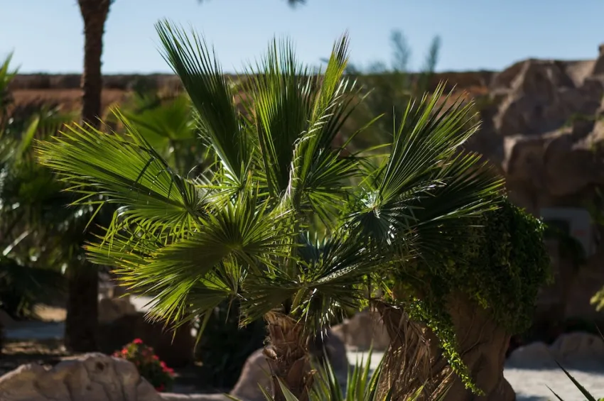 Caves Beach Resort (Adults Only 16+) 5*-106