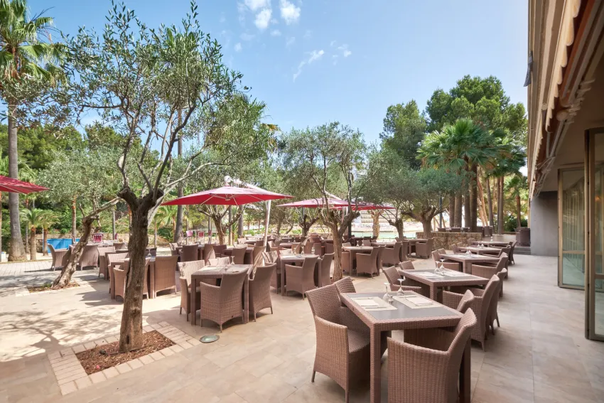Occidental Cala Viñas 4*-25