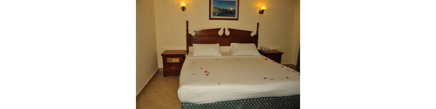 Titanic Resort & Aquapark 4*-9