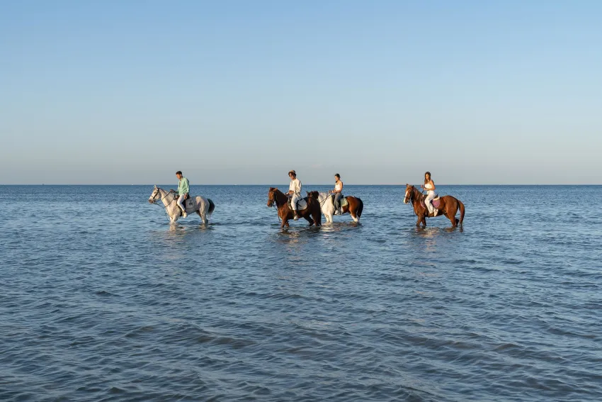 Ancient Sands Resort El Gouna 5*-41