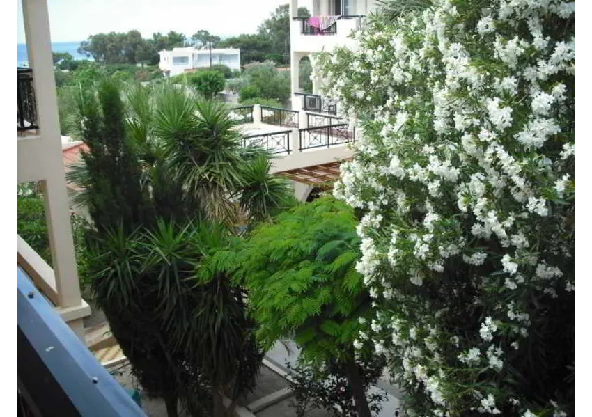 Summer Memories Apartments 3*-3