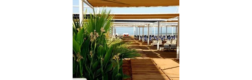 Dream World Hill 5*-22