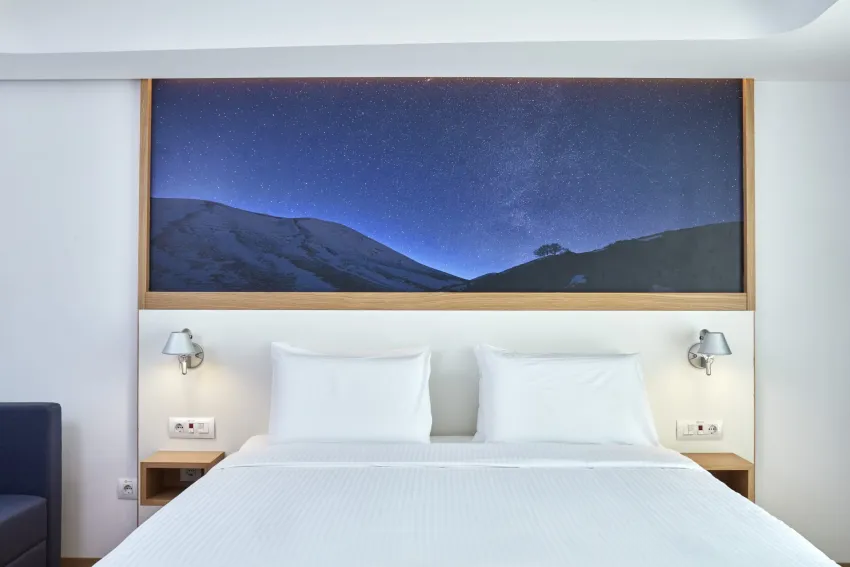 Olive Green Hotel 4*-10