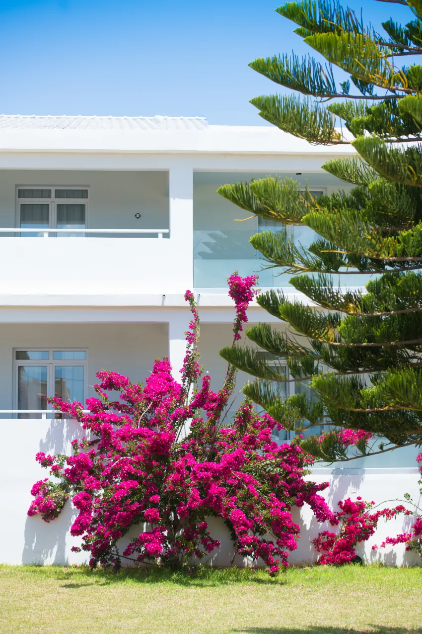 Isla Brown Resort Chania, Curio Collection by Hil 4*-3