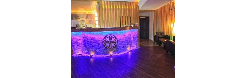 Blue Star Hotel 4*-17
