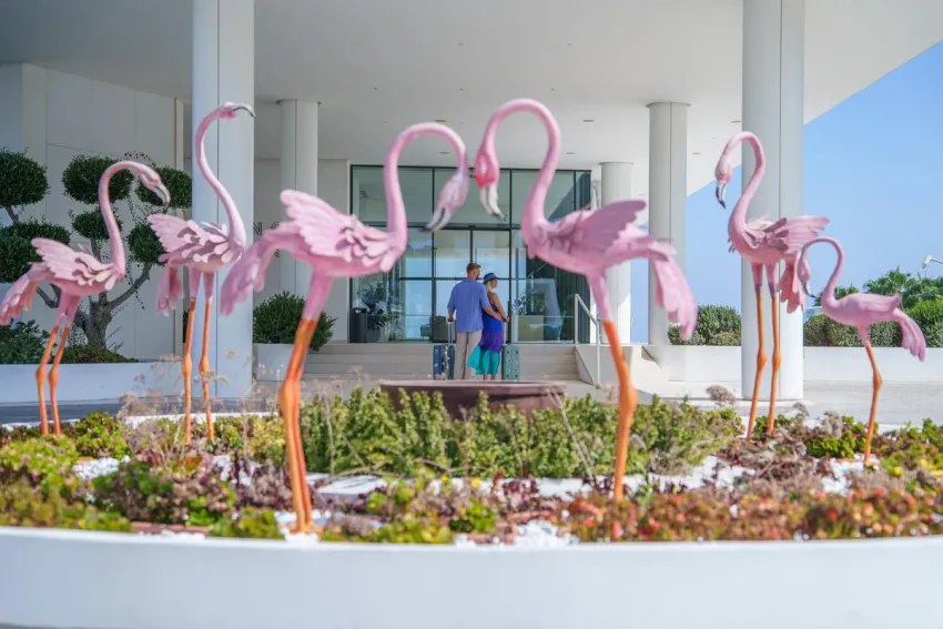 Flamingo Paradise Beach Hotel (adults only) 4*-12