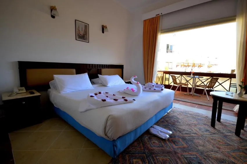 FALCON NAAMA STAR  3*-44