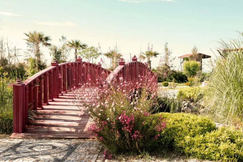 FLORA GARDEN BEACH (ADULTS ONLY 16+)  5*-47