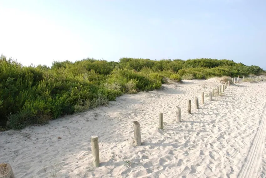 Es Baulo Petit Hotel -29