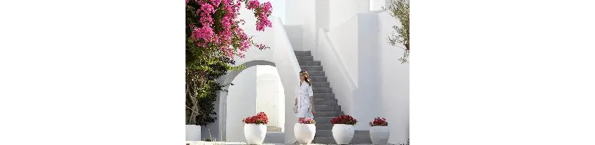 Knossos Beach Bungalows Suites Resort and Spa 4*-11
