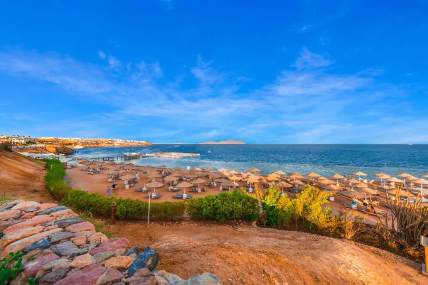DOMINA CORAL BAY OASIS  5*-28