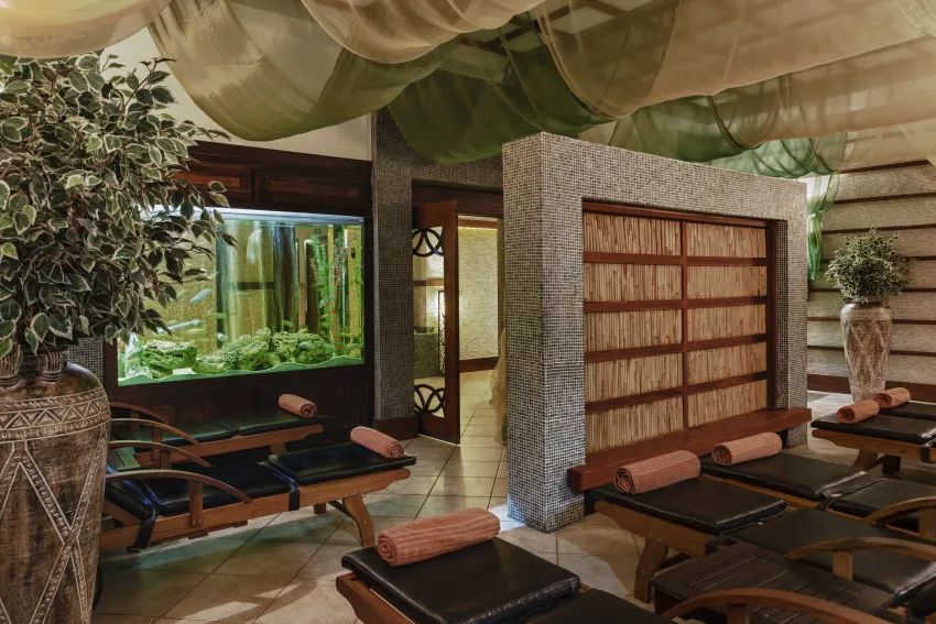 Delphin Palace 5*-40