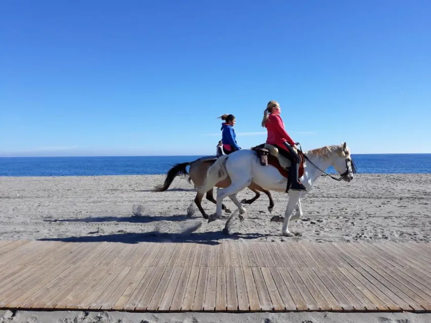 Sun Beach Park & Spa 4*-27