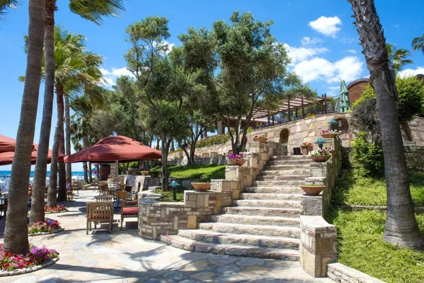 ARUM BARUT COLLECTION  5*-37