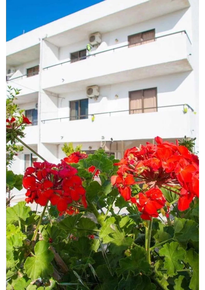 Nikos BNB 2*-5