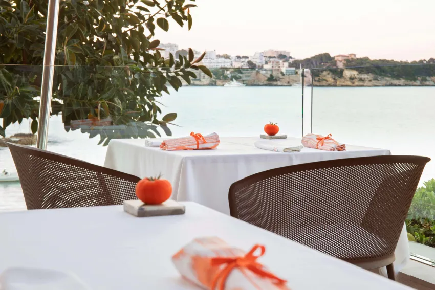 Hotel de Mar Gran Melia 5*-519