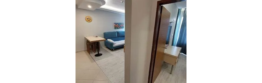 Ark Suite Hotel 3*-10