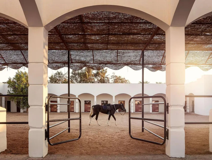 Palm Royale Soma Bay Resort 5*-5