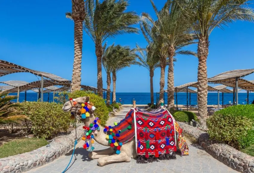 SPHINX HURGHADA  4*-22